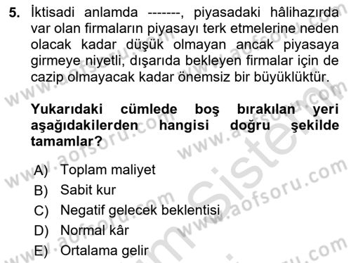 Mikro İktisat Dersi 2024 - 2025 Yılı (Final) Dönem Sonu Sınav Soruları 5. Soru