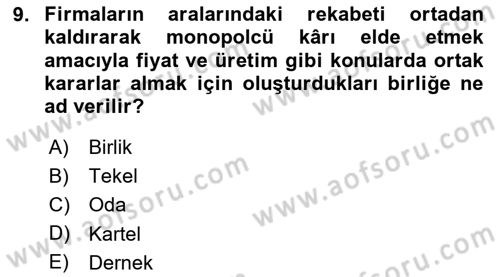 Mikro İktisat Dersi 2024 - 2025 Yılı (Final) Dönem Sonu Sınav Soruları 9. Soru