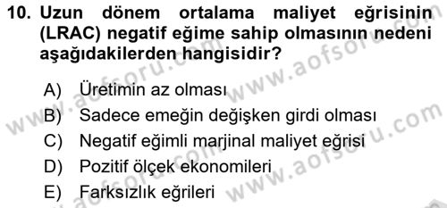 Mikro İktisat Dersi 2024 - 2025 Yılı Yaz Okulu Sınav Soruları 10. Soru