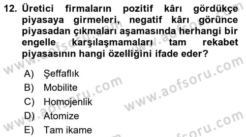 Mikro İktisat Dersi 2024 - 2025 Yılı Yaz Okulu Sınav Soruları 12. Soru