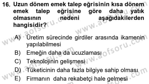 Mikro İktisat Dersi 2024 - 2025 Yılı Yaz Okulu Sınav Soruları 16. Soru