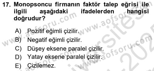 Mikro İktisat Dersi 2024 - 2025 Yılı Yaz Okulu Sınav Soruları 17. Soru