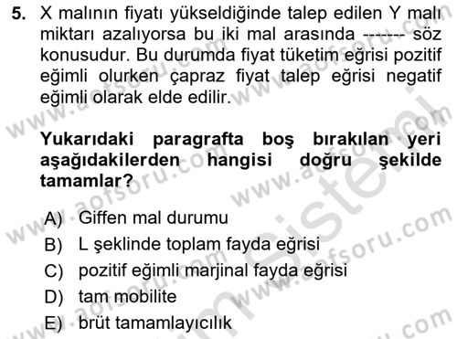Mikro İktisat Dersi 2024 - 2025 Yılı Yaz Okulu Sınav Soruları 5. Soru