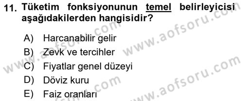 Makro İktisat Dersi 2024 - 2025 Yılı (Vize) Ara Sınav Soruları 11. Soru