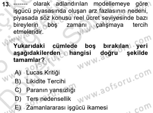 Makro İktisat Dersi 2024 - 2025 Yılı (Final) Dönem Sonu Sınav Soruları 13. Soru