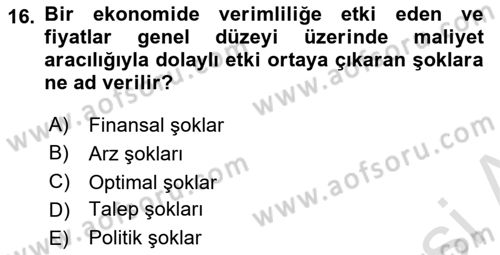 Makro İktisat Dersi 2024 - 2025 Yılı (Final) Dönem Sonu Sınav Soruları 16. Soru