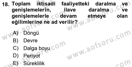 Makro İktisat Dersi 2024 - 2025 Yılı (Final) Dönem Sonu Sınav Soruları 18. Soru