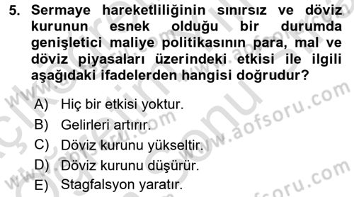 Makro İktisat Dersi 2024 - 2025 Yılı (Final) Dönem Sonu Sınav Soruları 5. Soru