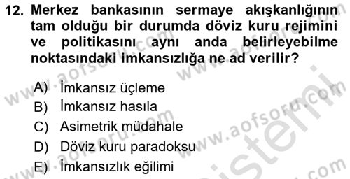 Makro İktisat Dersi 2024 - 2025 Yılı Yaz Okulu Sınav Soruları 12. Soru