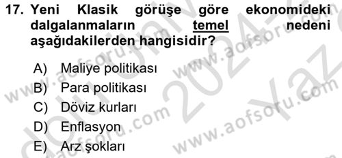 Makro İktisat Dersi 2024 - 2025 Yılı Yaz Okulu Sınav Soruları 17. Soru