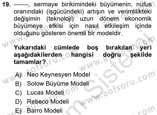 Makro İktisat Dersi 2024 - 2025 Yılı Yaz Okulu Sınav Soruları 19. Soru
