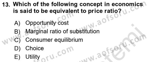 Microeconomic Theory Dersi 2022 - 2023 Yılı (Vize) Ara Sınav Soruları 13. Soru