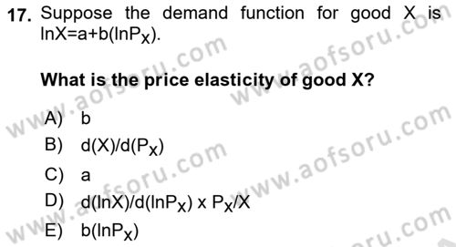 Microeconomic Theory Dersi 2022 - 2023 Yılı (Vize) Ara Sınav Soruları 17. Soru