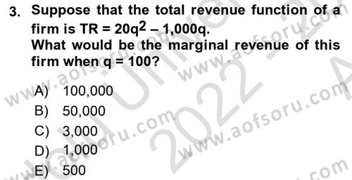 Microeconomic Theory Dersi 2022 - 2023 Yılı (Vize) Ara Sınav Soruları 3. Soru