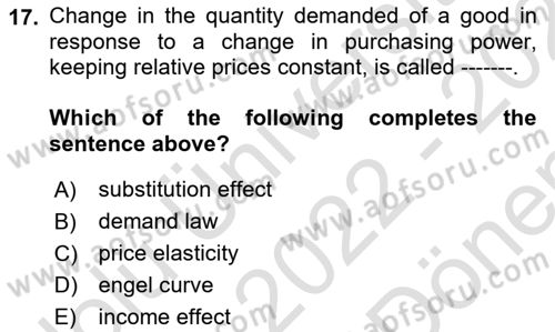 Microeconomic Theory Dersi 2022 - 2023 Yılı (Final) Dönem Sonu Sınav Soruları 17. Soru