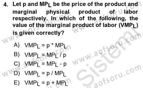Microeconomic Theory Dersi 2022 - 2023 Yılı (Final) Dönem Sonu Sınav Soruları 4. Soru