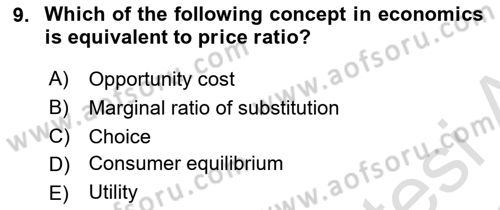 Microeconomic Theory Dersi 2022 - 2023 Yılı (Final) Dönem Sonu Sınav Soruları 9. Soru