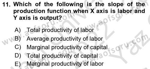 Microeconomic Theory Dersi 2022 - 2023 Yılı Yaz Okulu Sınav Soruları 11. Soru