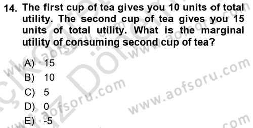 Microeconomic Theory Dersi 2023 - 2024 Yılı (Vize) Ara Sınavı 14. Soru