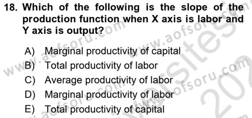 Microeconomic Theory Dersi 2023 - 2024 Yılı (Vize) Ara Sınavı 18. Soru