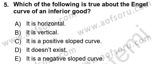 Microeconomic Theory Dersi 2023 - 2024 Yılı (Vize) Ara Sınavı 5. Soru