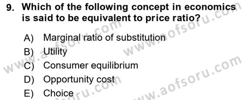 Microeconomic Theory Dersi 2023 - 2024 Yılı (Vize) Ara Sınavı 9. Soru