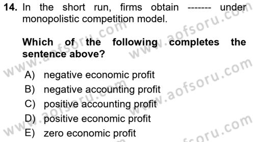 Microeconomic Theory Dersi 2023 - 2024 Yılı (Final) Dönem Sonu Sınav Soruları 14. Soru