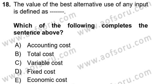 Microeconomic Theory Dersi 2023 - 2024 Yılı (Final) Dönem Sonu Sınav Soruları 18. Soru