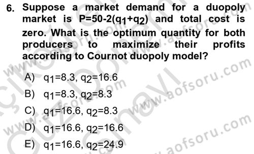 Microeconomic Theory Dersi 2023 - 2024 Yılı (Final) Dönem Sonu Sınav Soruları 6. Soru