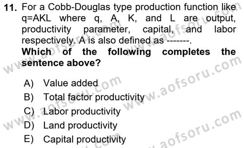 Microeconomic Theory Dersi 2023 - 2024 Yılı Yaz Okulu Sınav Soruları 11. Soru