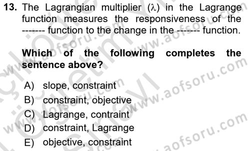 Microeconomic Theory Dersi 2023 - 2024 Yılı Yaz Okulu Sınav Soruları 13. Soru