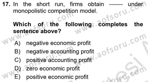 Microeconomic Theory Dersi 2023 - 2024 Yılı Yaz Okulu Sınav Soruları 17. Soru