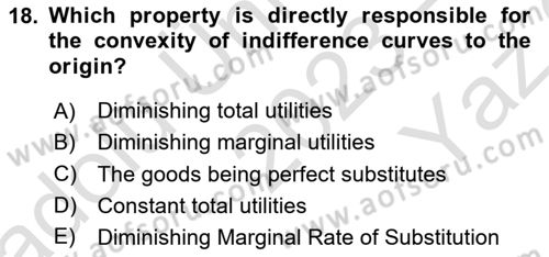 Microeconomic Theory Dersi 2023 - 2024 Yılı Yaz Okulu Sınav Soruları 18. Soru