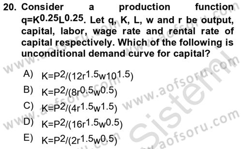 Microeconomic Theory Dersi 2023 - 2024 Yılı Yaz Okulu Sınav Soruları 20. Soru