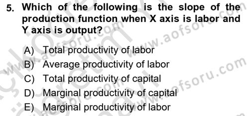 Microeconomic Theory Dersi 2023 - 2024 Yılı Yaz Okulu Sınav Soruları 5. Soru