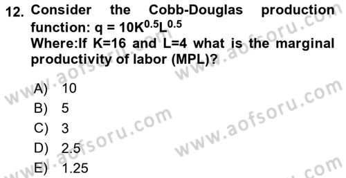 Microeconomic Theory Dersi Ara Sınavı Deneme Sınav Soruları 12. Soru