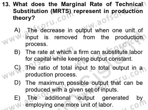 Microeconomic Theory Dersi Ara Sınavı Deneme Sınav Soruları 13. Soru