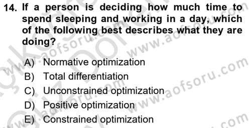 Microeconomic Theory Dersi Ara Sınavı Deneme Sınav Soruları 14. Soru