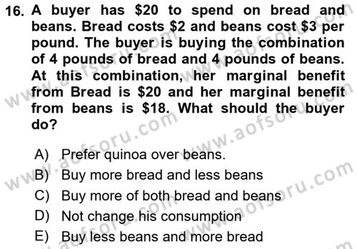 Microeconomic Theory Dersi Ara Sınavı Deneme Sınav Soruları 16. Soru