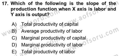 Microeconomic Theory Dersi Ara Sınavı Deneme Sınav Soruları 17. Soru