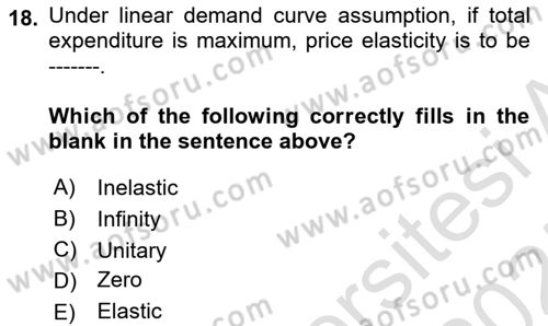 Microeconomic Theory Dersi 2024 - 2025 Yılı (Vize) Ara Sınav Soruları 18. Soru