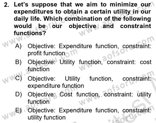 Microeconomic Theory Dersi 2024 - 2025 Yılı (Vize) Ara Sınav Soruları 2. Soru