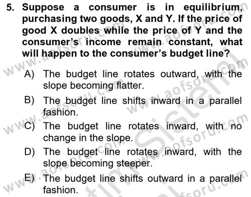 Microeconomic Theory Dersi 2024 - 2025 Yılı (Vize) Ara Sınav Soruları 5. Soru