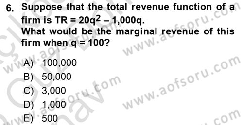 Microeconomic Theory Dersi Ara Sınavı Deneme Sınav Soruları 6. Soru