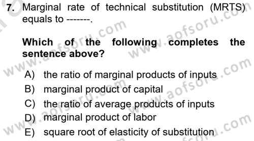 Microeconomic Theory Dersi 2024 - 2025 Yılı (Vize) Ara Sınav Soruları 7. Soru