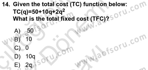 Microeconomic Theory Dersi 2024 - 2025 Yılı (Final) Dönem Sonu Sınav Soruları 14. Soru