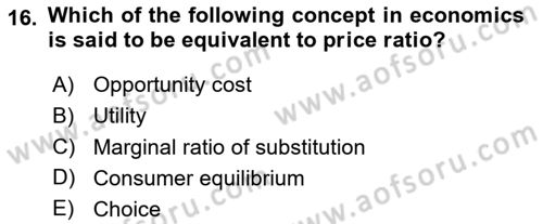 Microeconomic Theory Dersi 2024 - 2025 Yılı (Final) Dönem Sonu Sınav Soruları 16. Soru