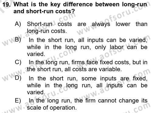 Microeconomic Theory Dersi 2024 - 2025 Yılı (Final) Dönem Sonu Sınav Soruları 19. Soru