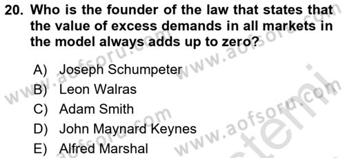 Microeconomic Theory Dersi 2024 - 2025 Yılı (Final) Dönem Sonu Sınav Soruları 20. Soru