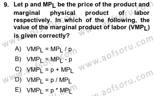 Microeconomic Theory Dersi 2024 - 2025 Yılı (Final) Dönem Sonu Sınav Soruları 9. Soru